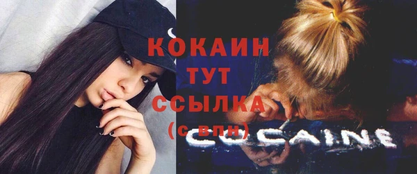 ГАЛЛЮЦИНОГЕННЫЕ ГРИБЫ Белокуриха