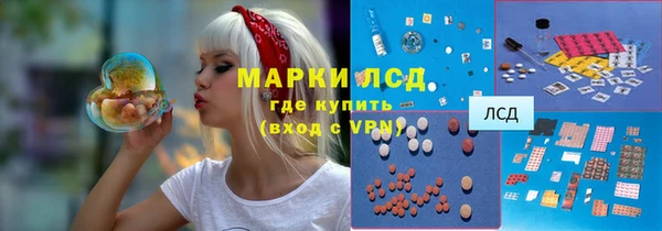 ГАЛЛЮЦИНОГЕННЫЕ ГРИБЫ Белокуриха