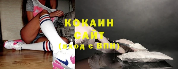 ГАЛЛЮЦИНОГЕННЫЕ ГРИБЫ Белокуриха