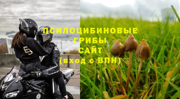 ГАЛЛЮЦИНОГЕННЫЕ ГРИБЫ Белокуриха
