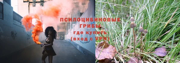 ГАЛЛЮЦИНОГЕННЫЕ ГРИБЫ Белокуриха